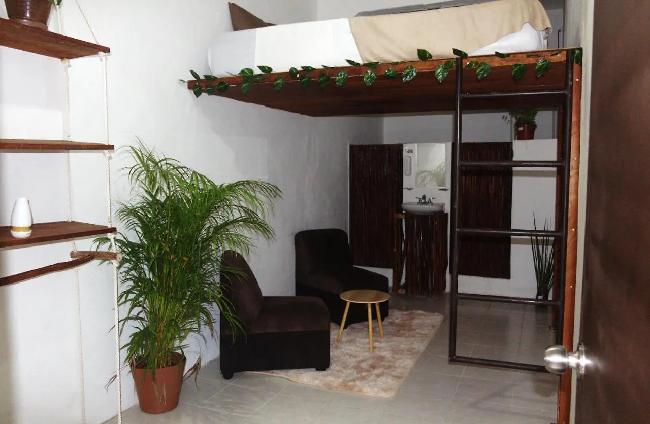 Hotel Casa De Luz Playa Del Carmen