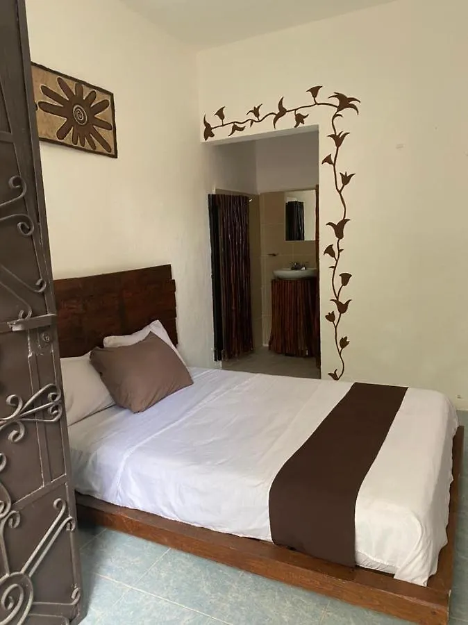 Hotel Casa De Luz Playa Del Carmen Mexico